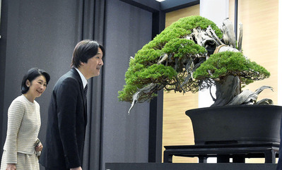 149345786450408455179