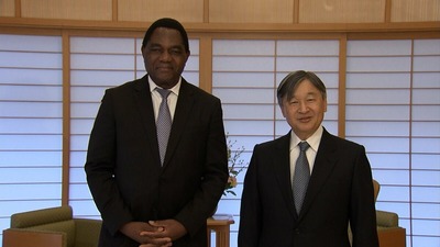 FNN����ӥ�