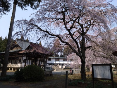 DSC_0935_copy_1600x1200