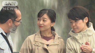 ANN������������