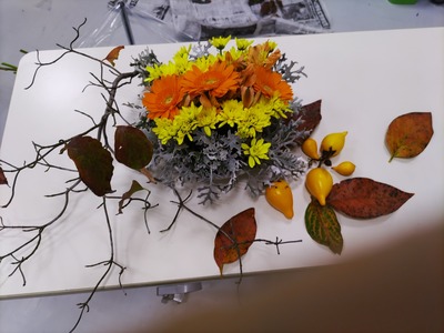 IMG_20241119_114920_copy_1600x1200