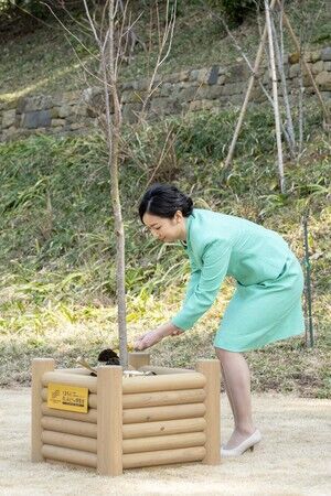 �����ɥåȥ����в�