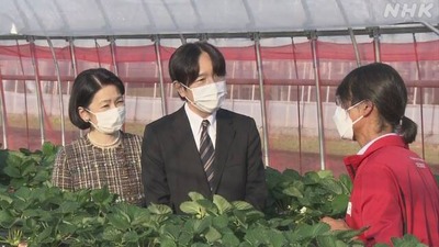 NHK3