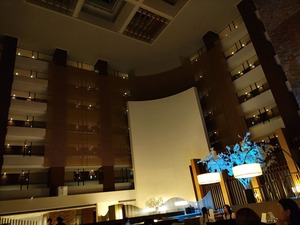 IMG_20240622_194453_copy_1600x1200