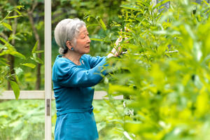 AS20180502002674_commL