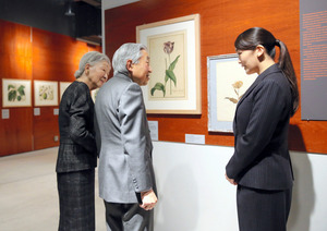 img_ce3e0168ec69a824801a8827a8b9eebe267656