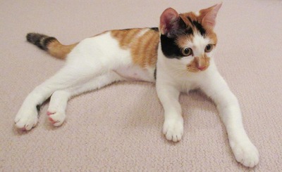 princess-aiko-birthday-mimi-7