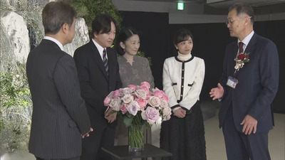 TBS�֤�Ÿ����