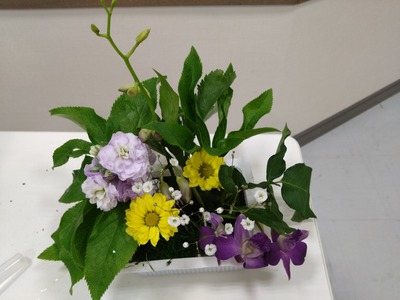 DSC_1136_copy_1600x1200_1