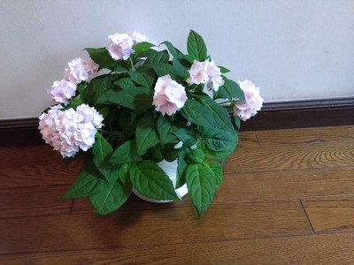 DSC_1587_copy_1600x1200