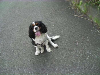 9081c1f273073b4d883c