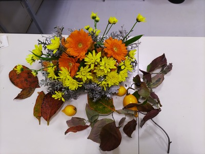 IMG_20241119_114320_copy_1600x1200