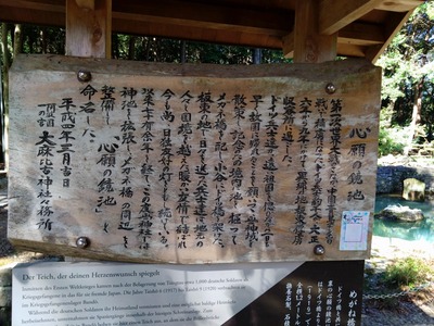 DSC_3537_copy_1600x1200