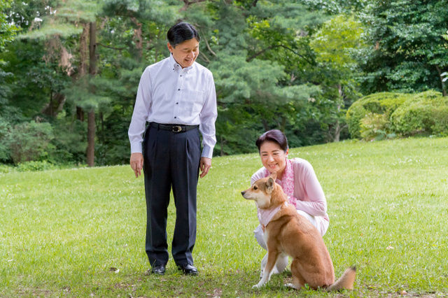 皇太子夫妻 結婚25年 銀婚式 Remmikkiのブログ 皇太子夫妻 結婚25年 銀婚式 Remmikkiのブログ