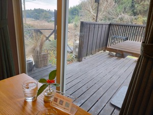 IMG_20231228_130335_copy_1600x1200