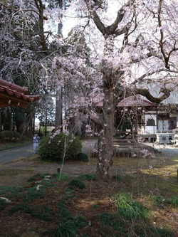 DSC_0938_copy_1200x1600