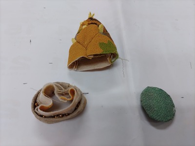 IMG_20231010_134219_copy_1600x1200