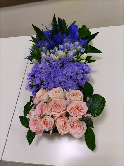 IMG_20210720_112640_copy_1200x1600