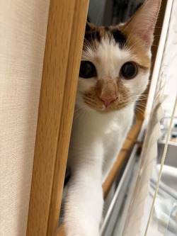 20251201-00000000-mai-000-1-view