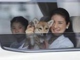 雅子 犬のお手振り