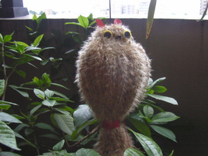 f99d0e4bd4a32f785c3879f955c3673b