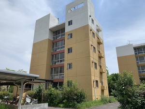�ɱ�18���� 4��