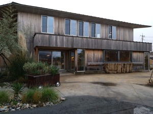 DSC_0001_BURST20251113150059511_copy_1600x1200