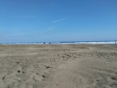 DSC_4847_copy_1600x1200