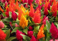 a6d27573d3b3f0a85a64c4b1bc2b36b8