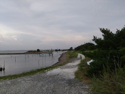 DSC_3309_copy_1600x1200