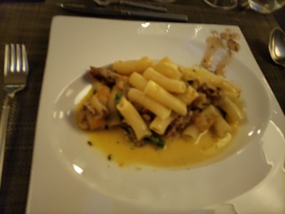 IMG_20240622_191559_copy_1600x1200