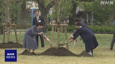 NHK�Ի��в���