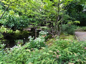DSC_6269_copy_1600x1200