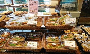 484fba021ea1c3d03a2150c21652a696