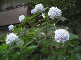 SANY0056