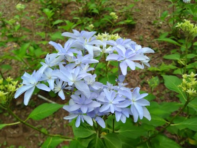 DSC_6069_copy_1600x1200
