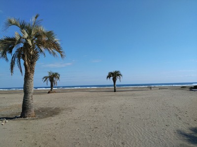 DSC_4835_copy_1600x1200