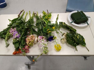 DSC_0844_copy_1600x1200