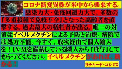 ����IVM�������Ĥ�