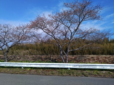 DSC_4833_copy_1600x1200