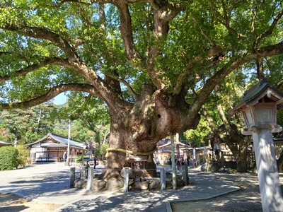 DSC_3507_copy_1600x1200