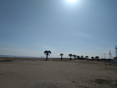 DSC_4836_copy_1600x1200