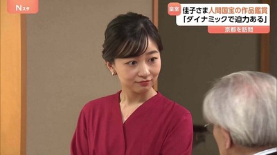 thumb-12198-4575699-domestic