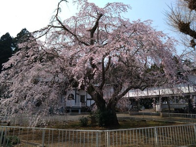 DSC_0940_copy_1600x1200