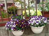 c03f5d16.jpg