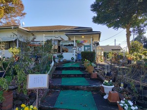 �ݥ����˥����ģ�