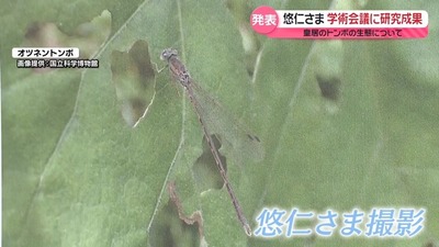 c71cc938-98b2-40bf-aec3-95a422589720