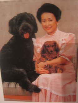 o0338045012529018700