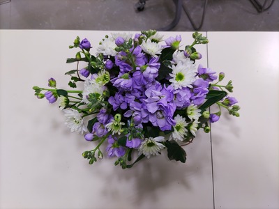 IMG_20230221_113525_copy_1600x1200