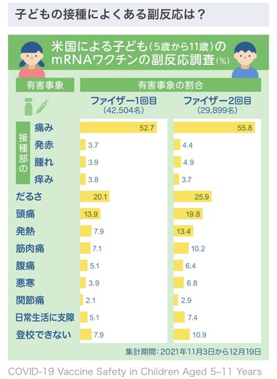 »Ò¶¡¤ËÂǤıƶÁ